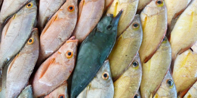 Fischmarkt in Französisch-Polynesien