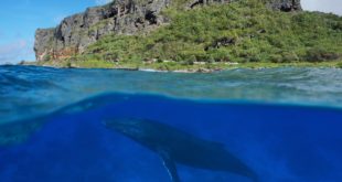 Rurutu – die Insel der Wale