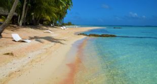 Tikehau – die Insel aus rosafarbenem Sand